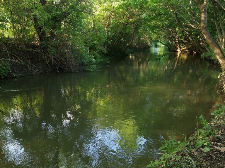 380747317_689304249901111_8193240873480913236_n