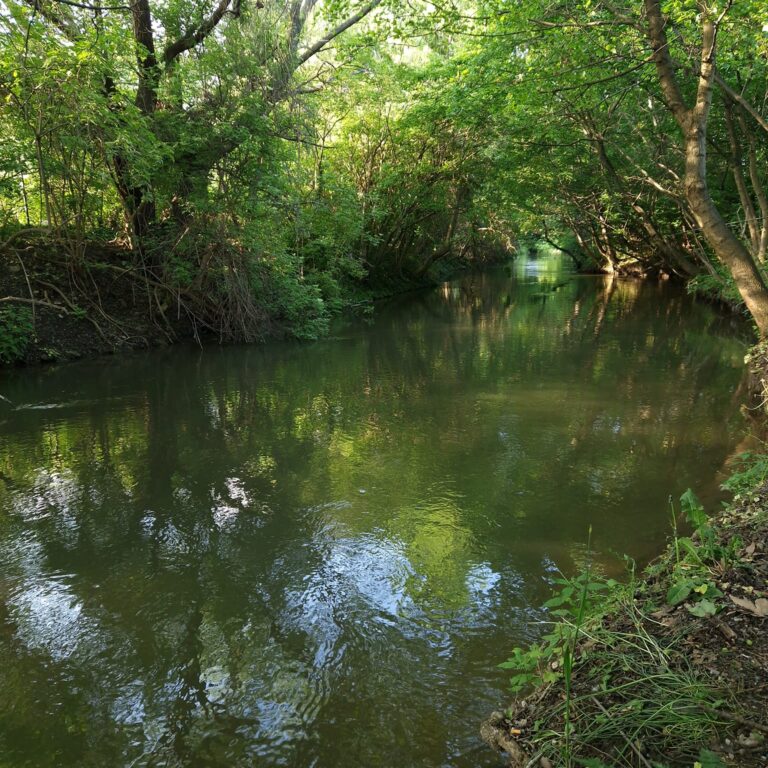 380747317_689304249901111_8193240873480913236_n