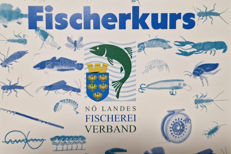 Fischerkurs
