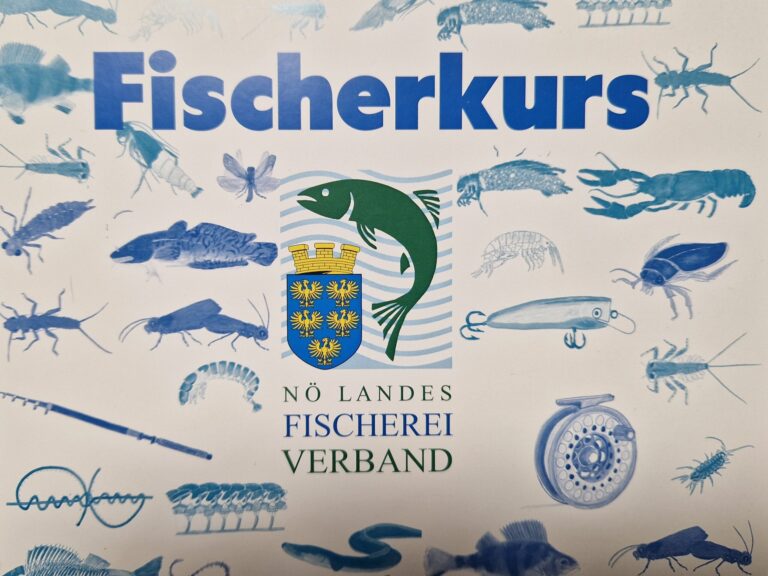 Fischerkurs